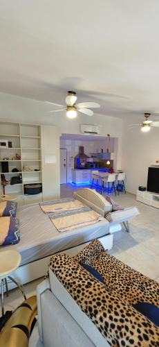 Desenzano del Garda City Centre House | Sole del Garda Haus