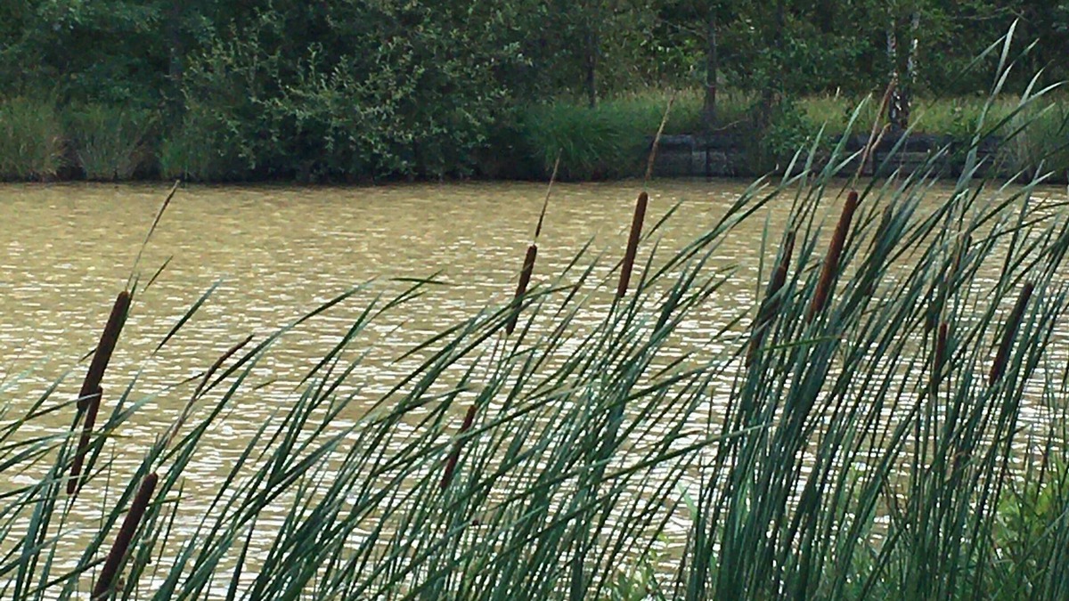 Jouy-le-Potier House | Solognese cottage