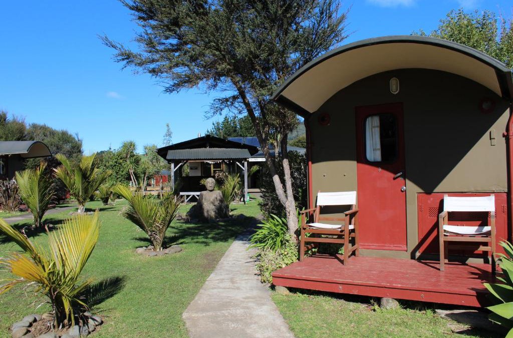 Raglan Cabin | Solscape