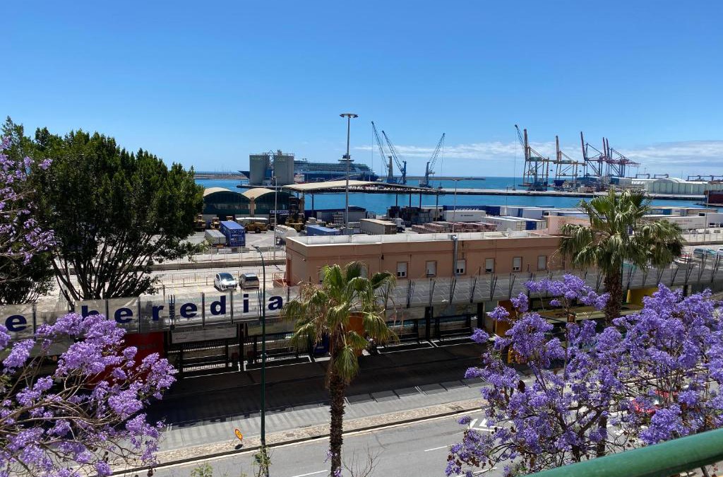 Ensanche Centro Apartment | Solymar Beach Premium