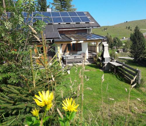 Sankt Kathrein am Offenegg House | Sommeralmhütte