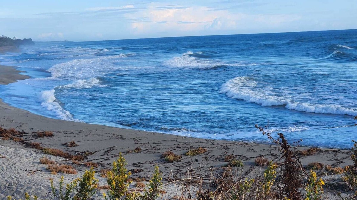 Bravone Apartment | Somptueux Appart Neuf 3 Pièces en rdc Tout Confort Avec Accès Plage et Piscine
