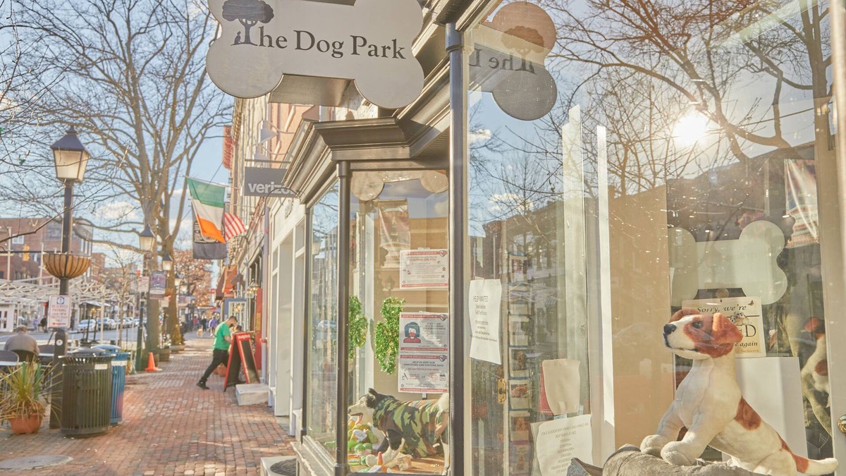 Old Town Alexandria Apartment | Sonder The Grace | Queen Studio Apartment