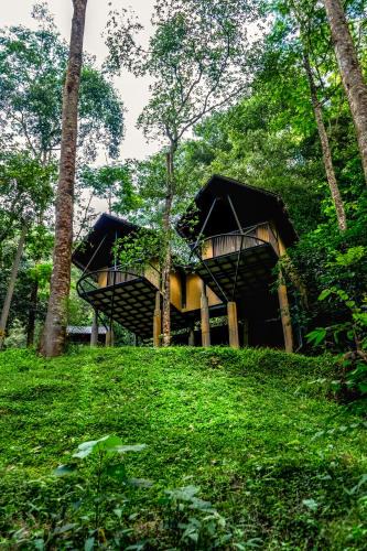 Elappara Resort | Song Of The Trees Nature Stay Kutitkanam by LexStays