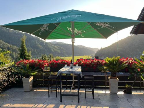 Wolfach Apartment | Sonnige Ferienwohnung im Kinzigtal