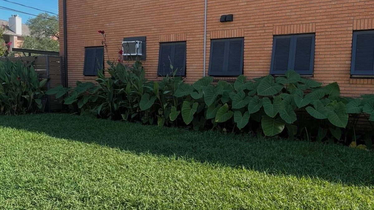 Greenway Plaza-Upper Kirby Apartment | Soothing apartment with AC in vibrant Houston