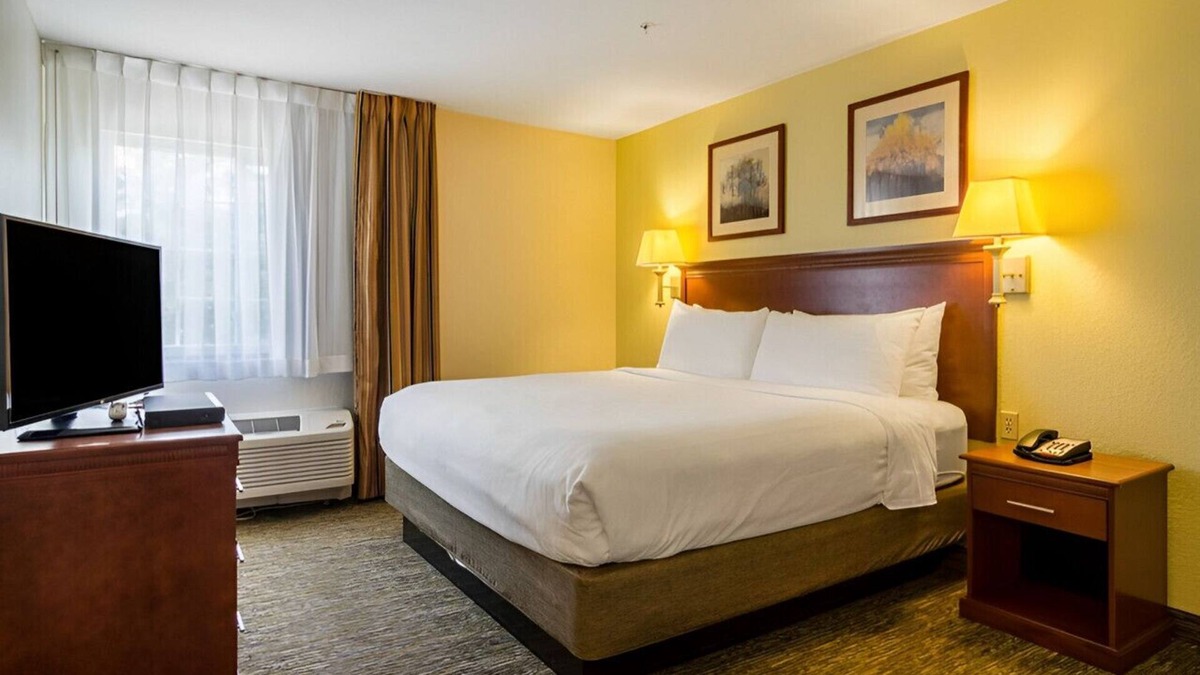 Arlington House | Sophisticated Room w/ Cozy Ambiance! Pet-Friendly