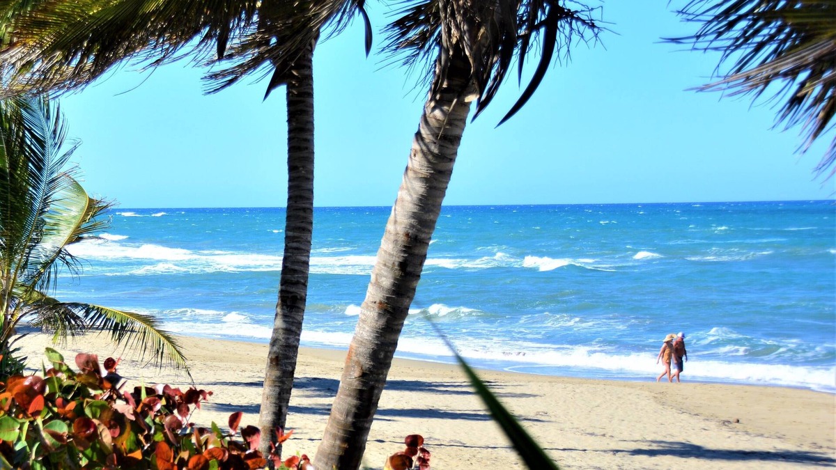 Cabarete Apartment | Sosua Bachelor Party 10 BR Beachfront Mini Resort FREE BONUS
