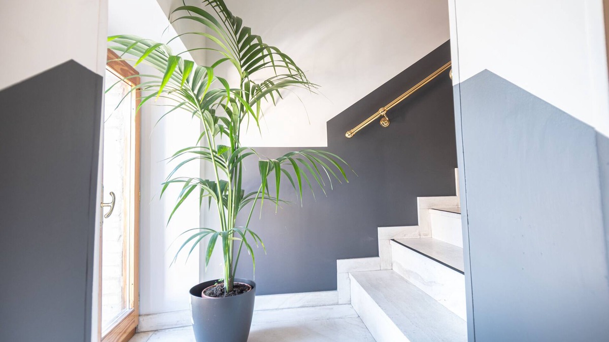Santa Maria degli Angeli House | Sottoassisi Guest House