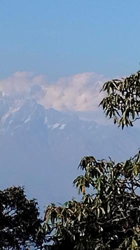 Almora Hotel | Soulmates