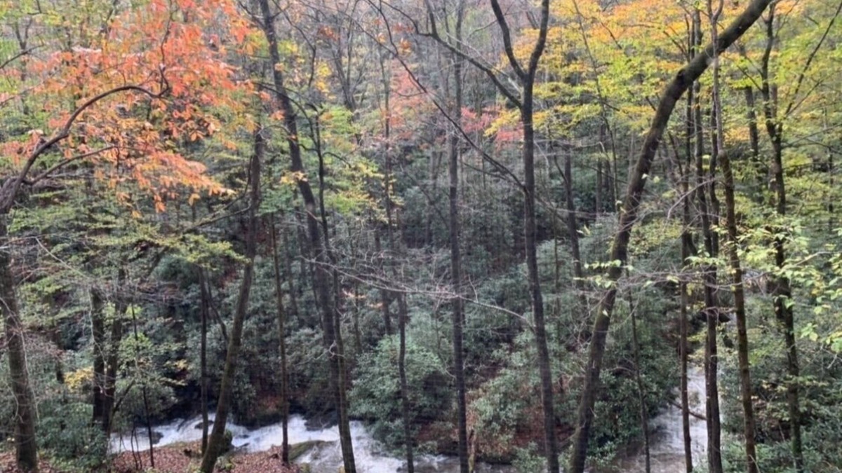 Otto House | Sound of Rushing RAPIDS/Private wooded location/Hiking Trail/Hot Tub