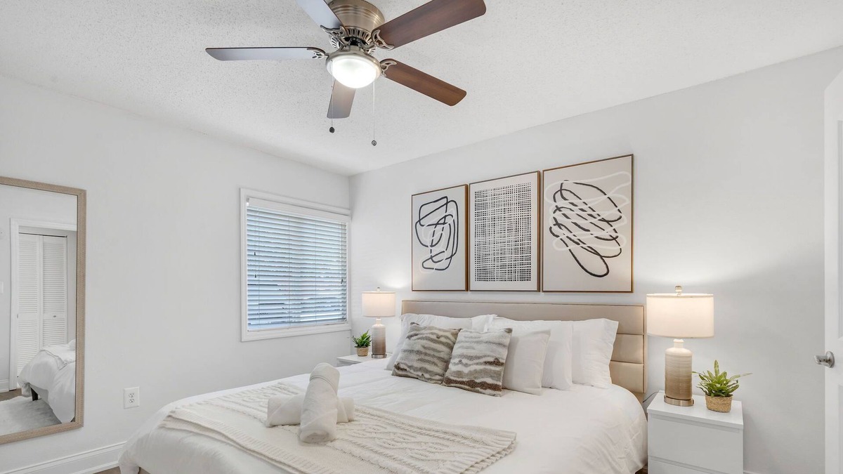 New Suburb Beautiful Apartment | South Tampa Apartment minutes away from Downtown, Dining and Entertainment