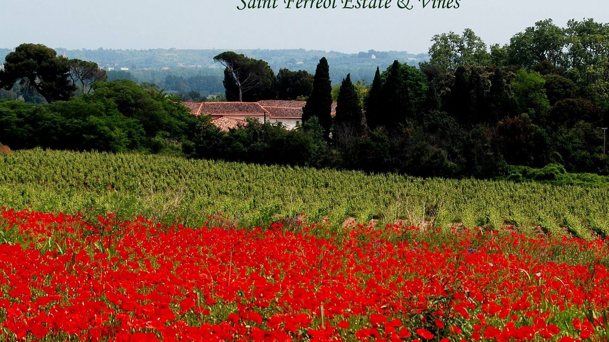 Nizas Villa | Spacious 3 bedroom vineyard villa, air conditioned, Domaine Saint Ferreol