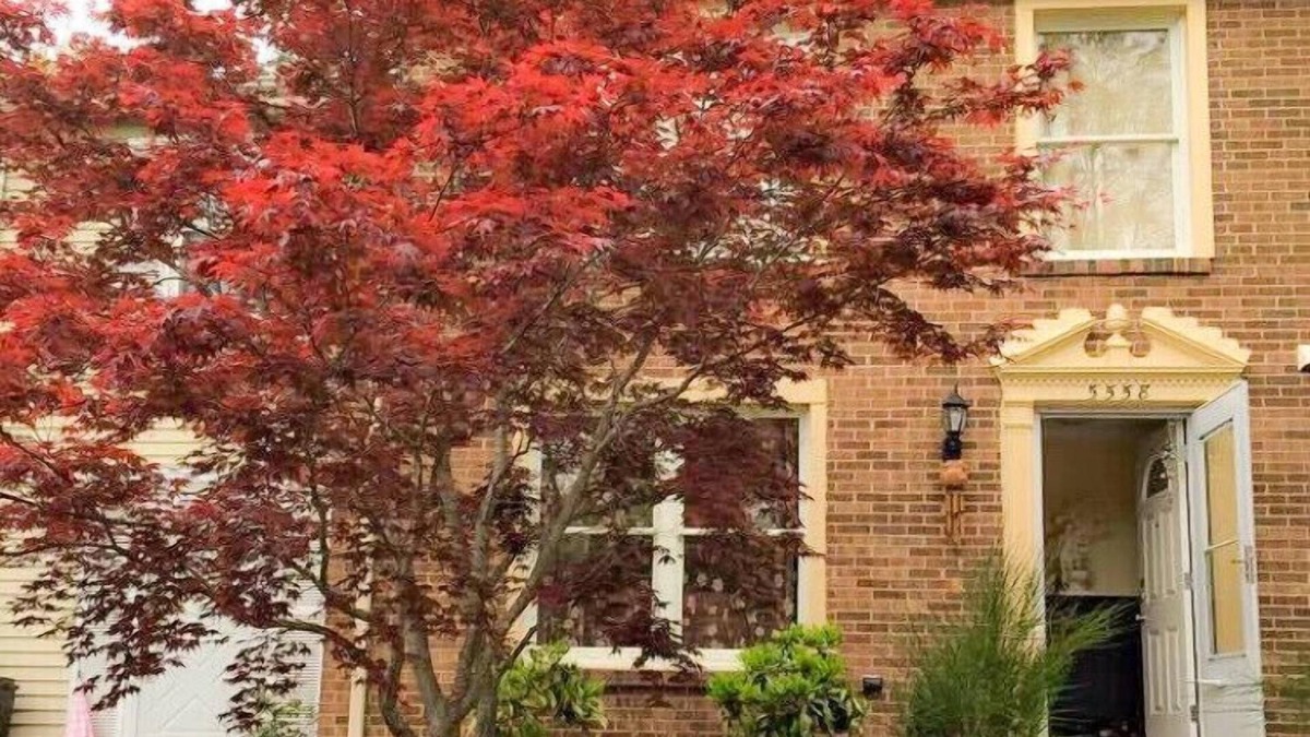 Fairfax House | Spacious 3 Bedrooms Townhome Near GMU-VRE-D.C