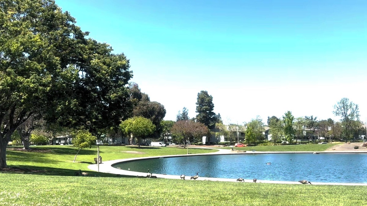 Sunnyvale Villa | Spacious 3 BR 2B House Sunnyvale Park