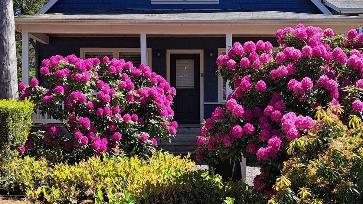 Lincoln Beach Cottage | Spacious 3-BR Bella Beach, Hot Tub, Master w/King