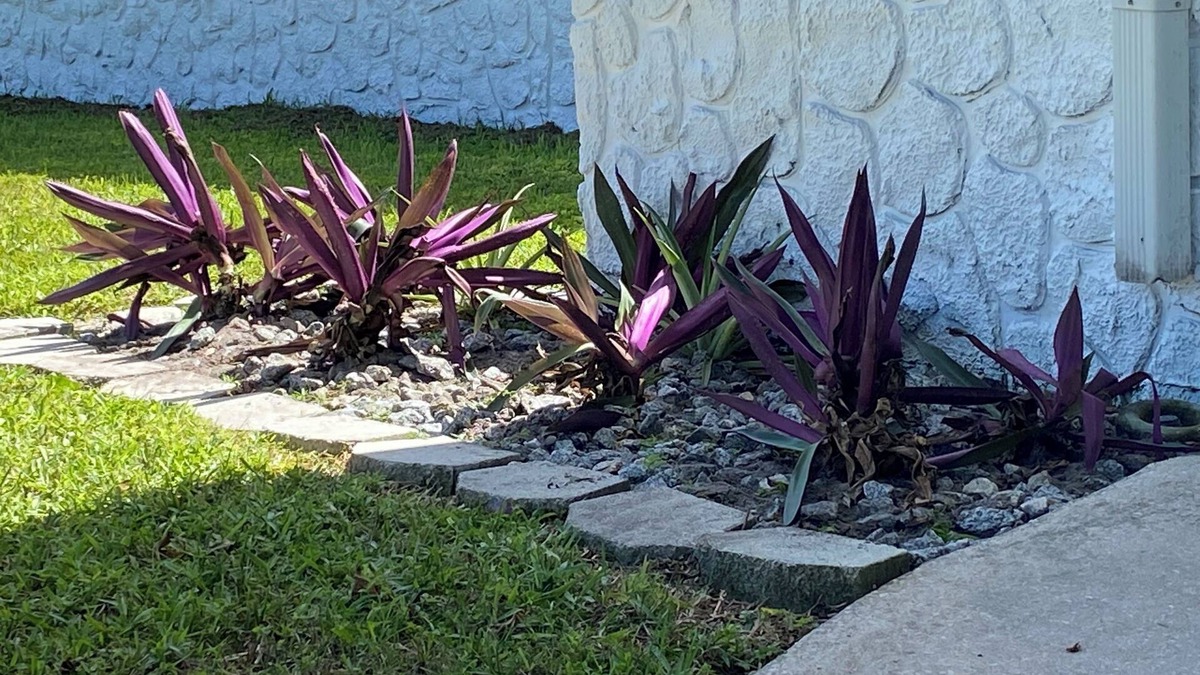 Winter Woods House | Spacious 4 bedroom with WiFi and AC in welcoming Port Orange Home away from home
