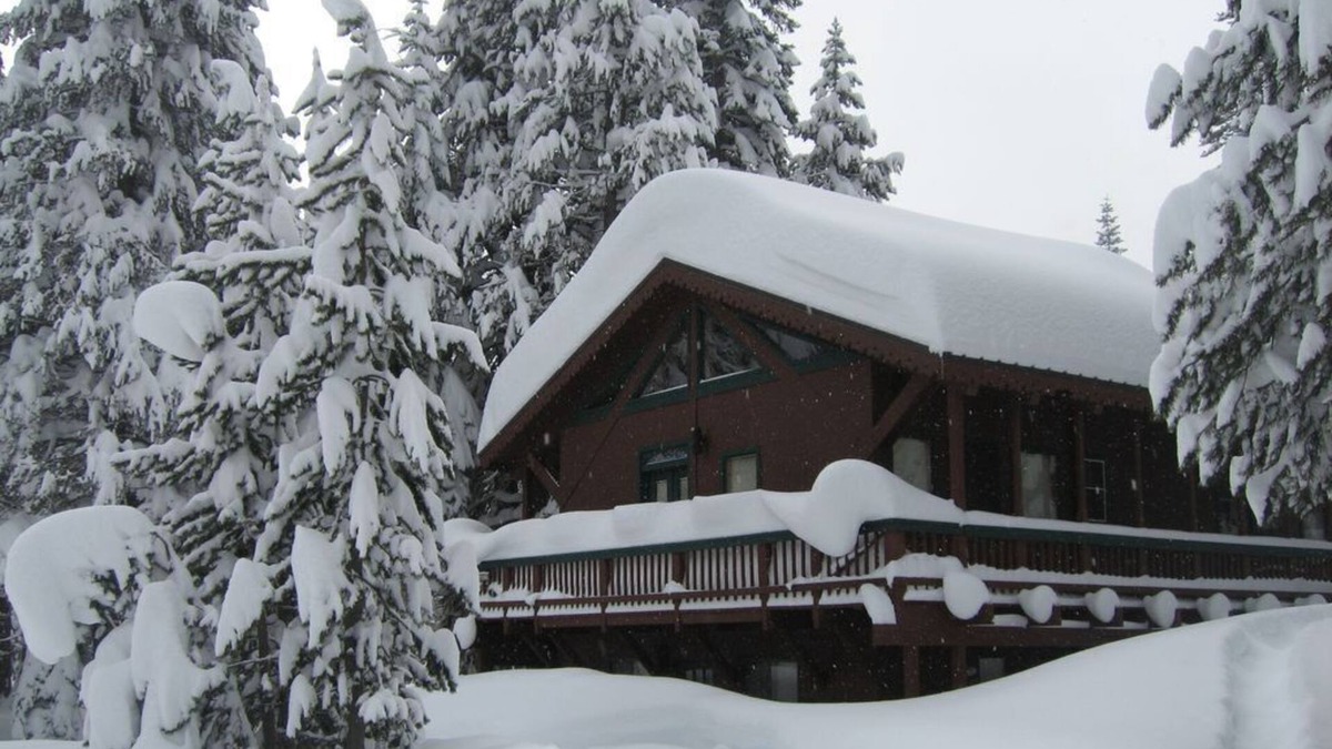 Bear Valley House | Spacious 4 Season Cabin, Ski in Winter, Lake in Summer
