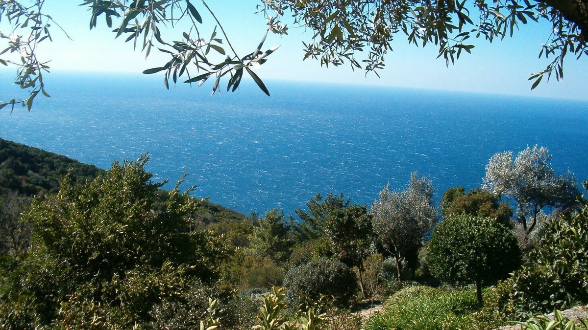 Pisciotta Apartment | Spacious and light-filled room with independent access