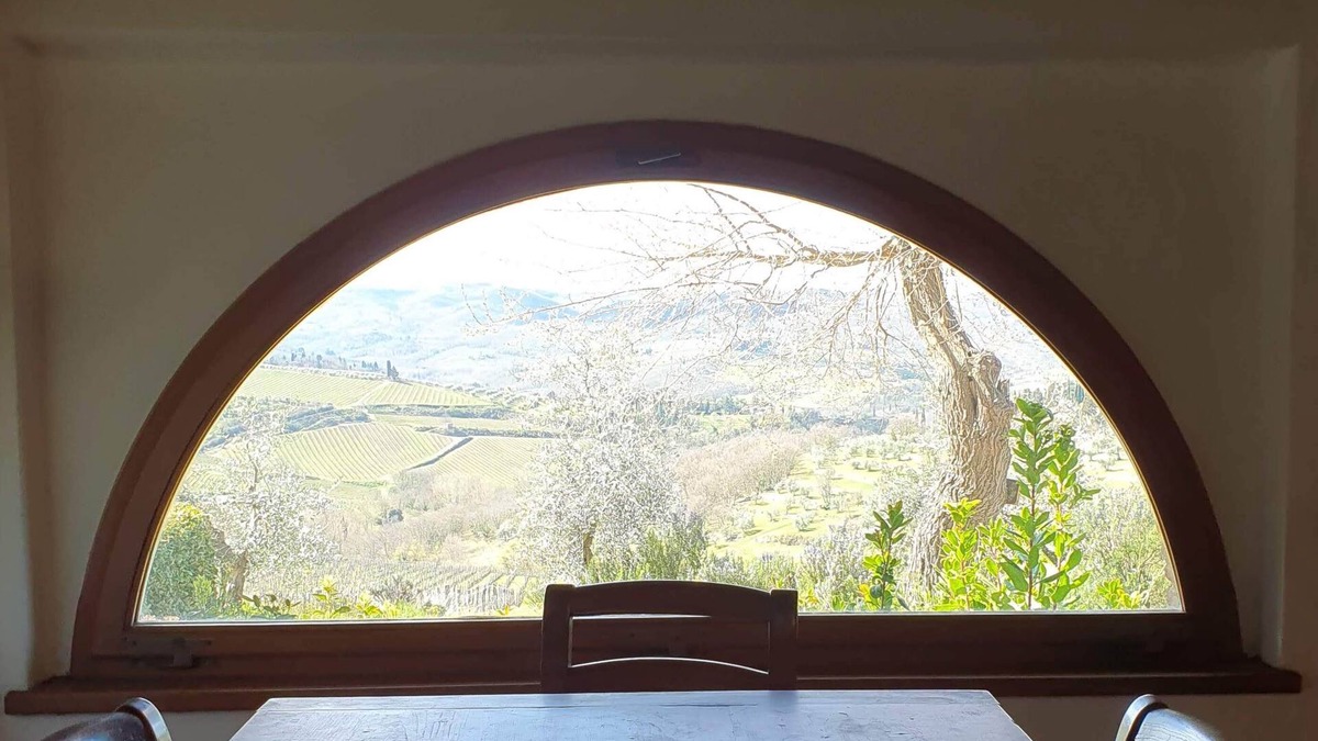 Panzano in Chianti Apartment | Spacious Apartment La Colonna overlooking Chianti Classico vineyards