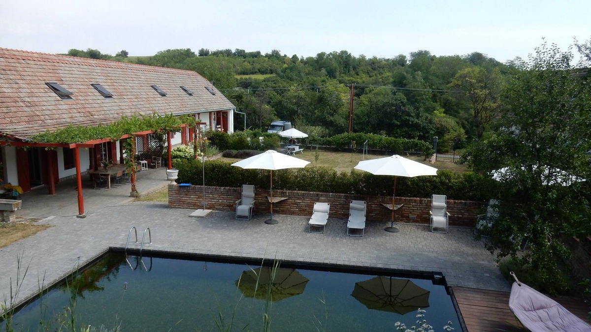Nagyszekely Apartment | Spacious apartment with use of swimming pond in tranquil village