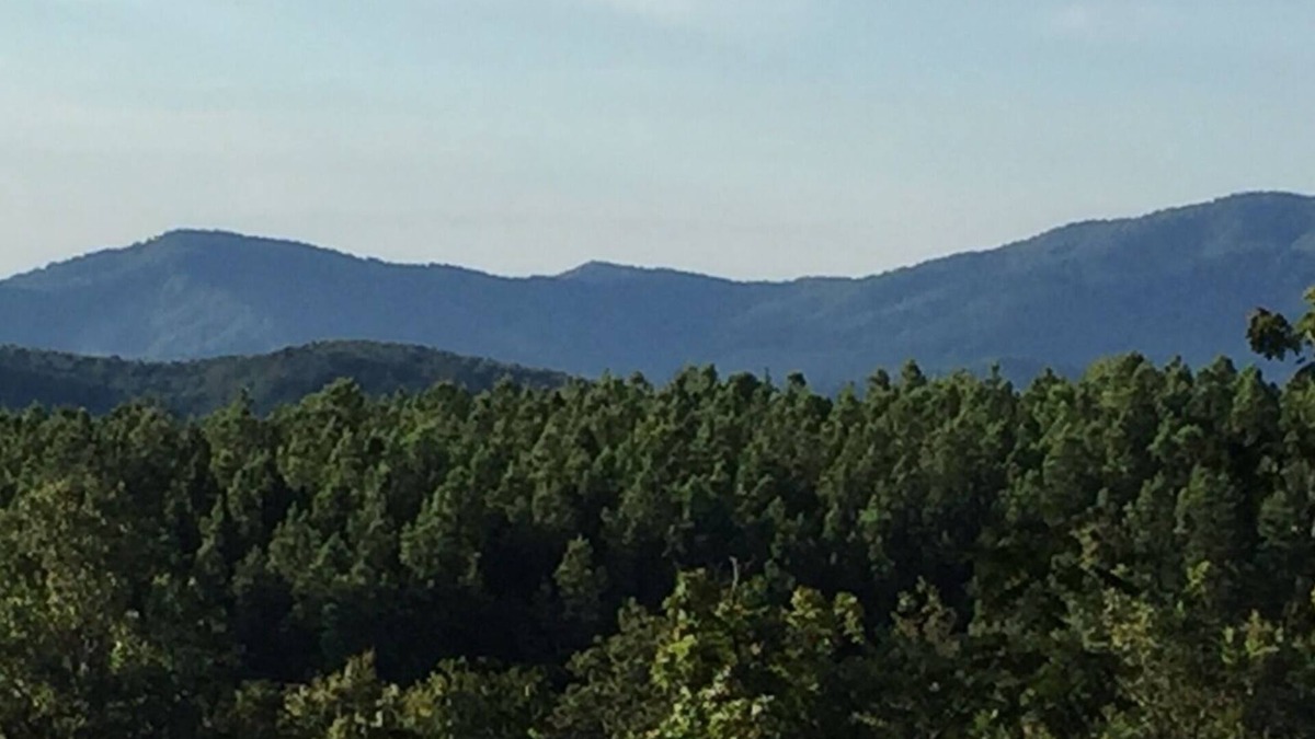 Batesville Apartment | Spacious apt: hot tub, mountain views, stream & pond on peaceful 25 acre estate