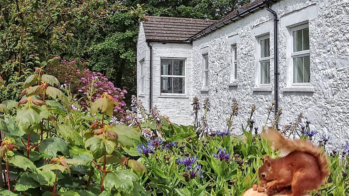 Kirkcudbright Cottage | Spacious cottage on an estate where peace, privacy, fun and exploration abound