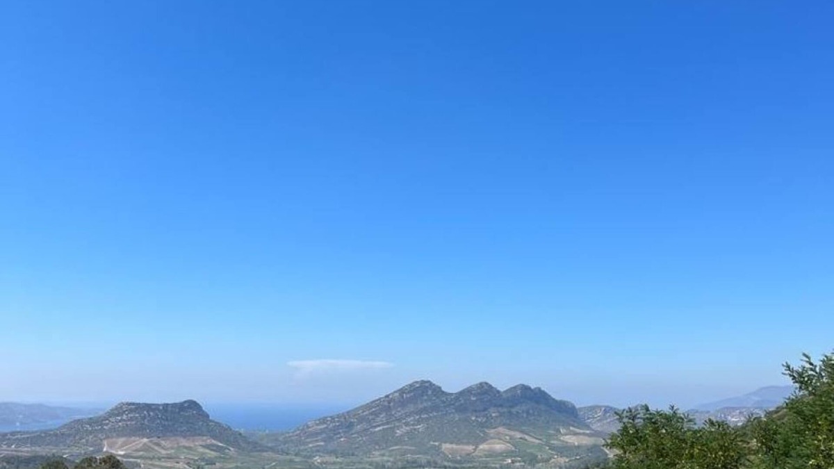 Poggio-dʼOletta House | Spacious house with exceptional sea and vineyard views