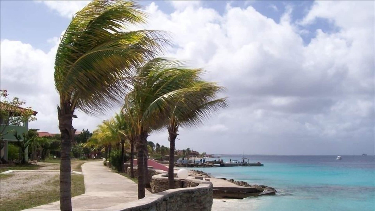 Kralendijk Condo | Spacious Oceanfront Studio Condo A3 at Sand Dollar Condominiums