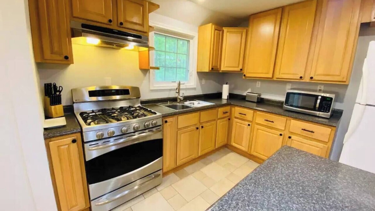 Geyser Crest House | Spacious Saratoga Home Near SPAC & Track | Dogs