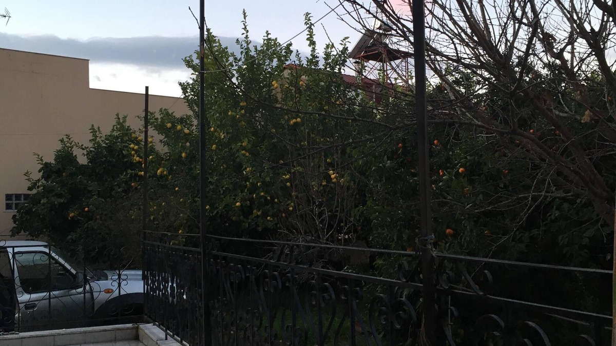 Aigio House | spacious townhouse with mature tree garden