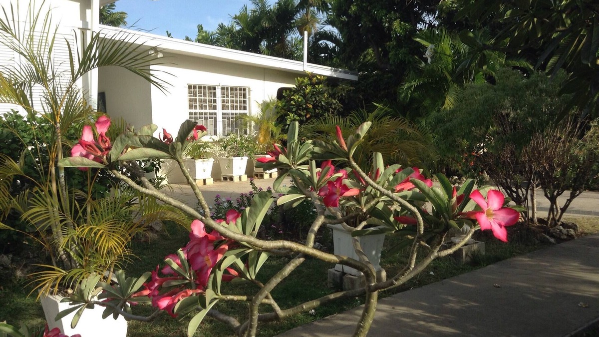 Sunset Crest House | Specials-One Bedroom Sunset Crest, Dec 30th-Jan 15th - 85 US PER NIGHT