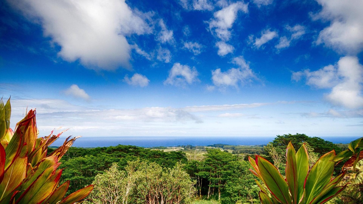 Honomu House | Spectacular Views and Natural Beauty