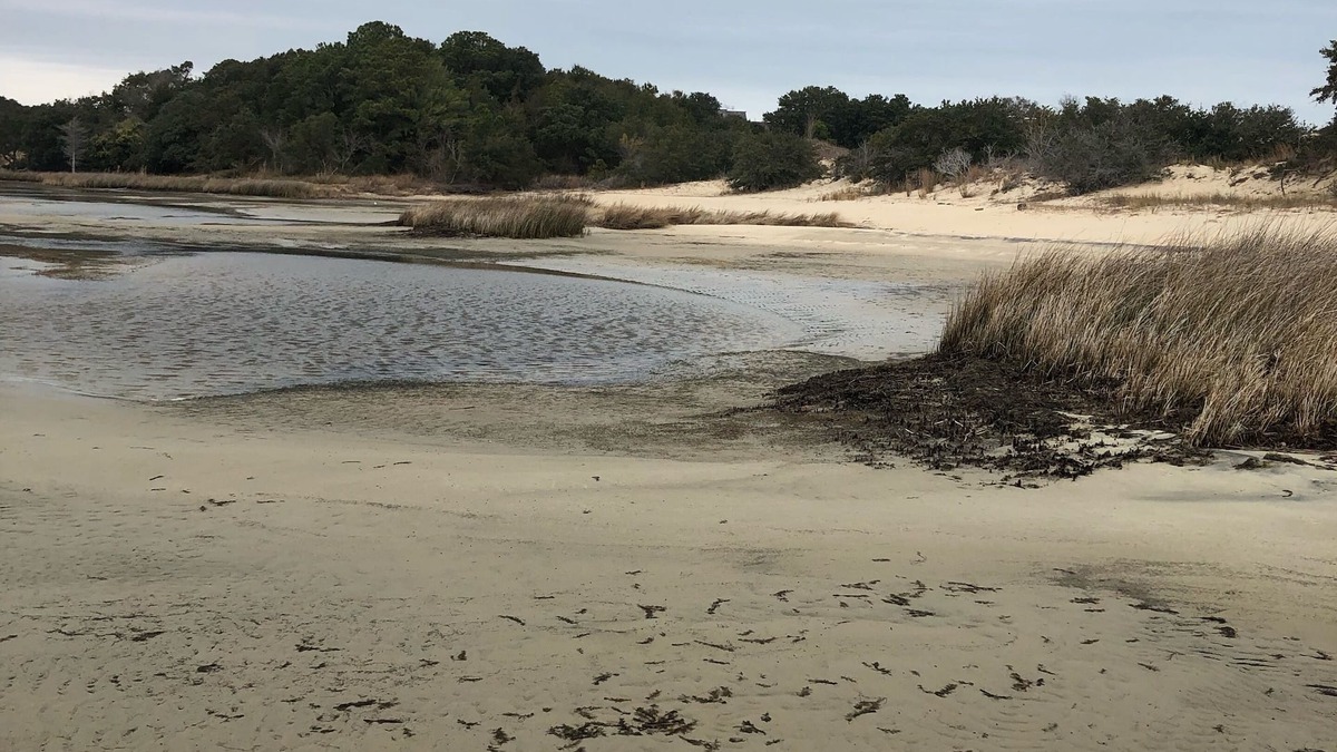 Nags Head Condo | Spectacular Views and Location - Sound and Dune Views (NEW)