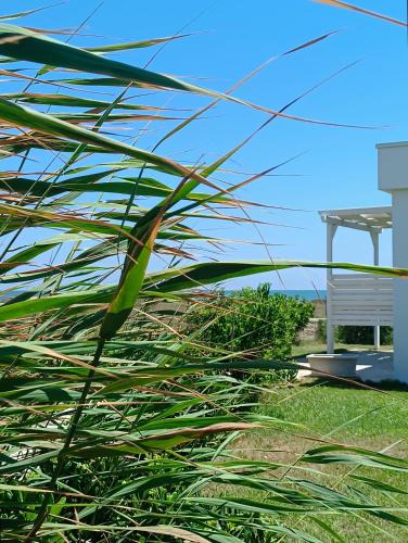 Torre Rinalda Hotel | Spiaggiabella Resort