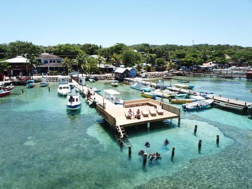 Antoneys Cay Hotel | Splash Inn Dive Resort & Villas