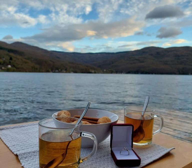 Bajina Basta Apartment | Splav Wake at the lake