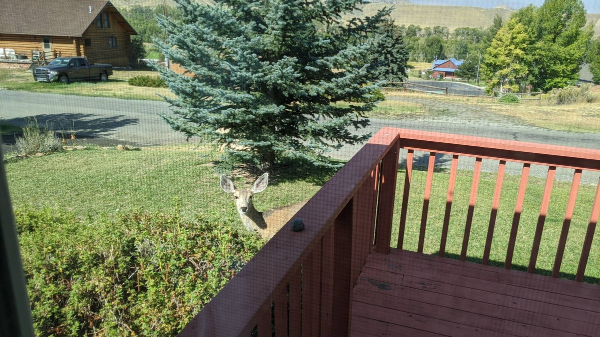 Meeteetse House | Splendid Absaroka Mountain and Greybull River View