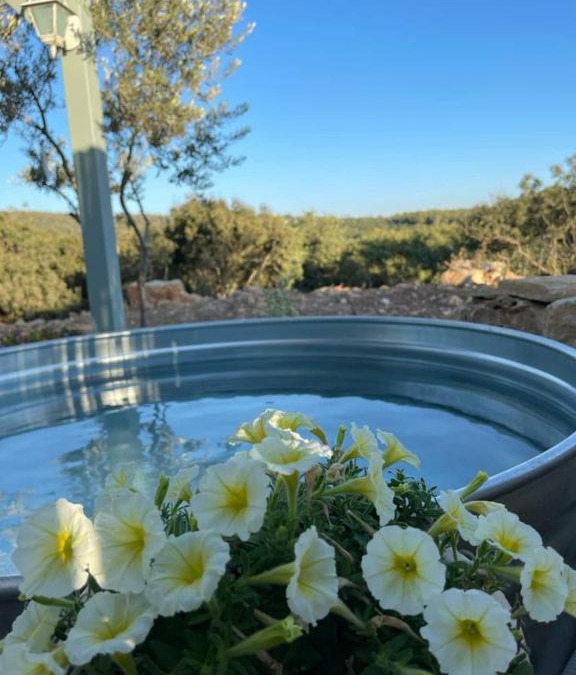 Gita House | Splendor Of Dawn - yurt in the nature