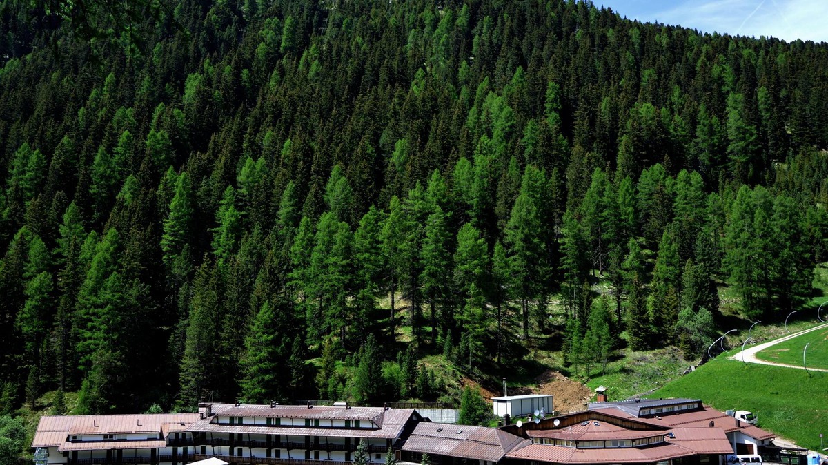 Tesero Hotel | Sport Hotel Pampeago