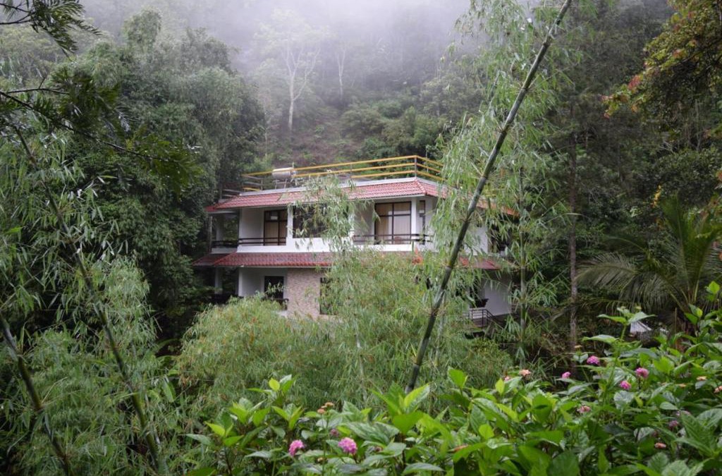 Pirmed House | Spring and Valley View