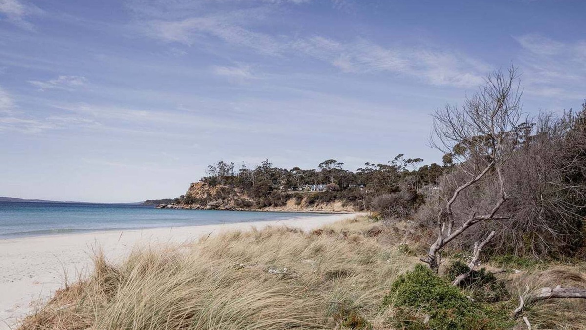 Spring Beach House | Spring Beach Rise at Spring Beach
