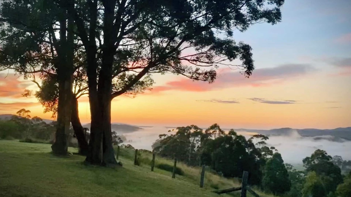 Topi Topi House | Spring Special. Peaceful escape, beaut views & sauna. Nr Seal Rocks. Pets okay.