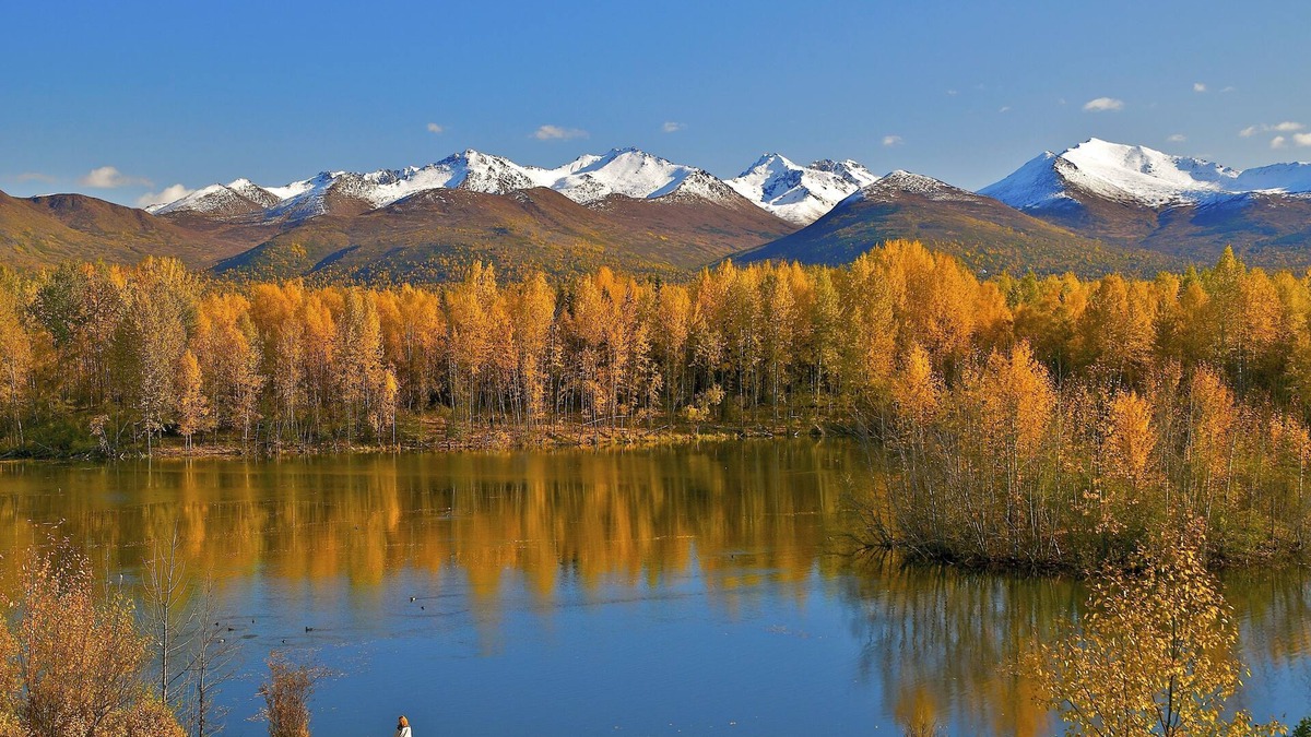 University Area Hotel | SpringHill Suites Anchorage University Lake