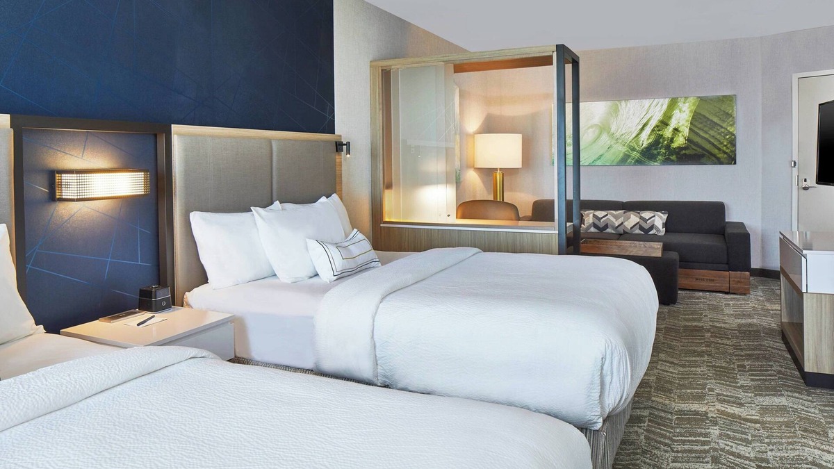 Paw Creek Hotel | SpringHill Suites by Marriott Charlotte at Carowinds
