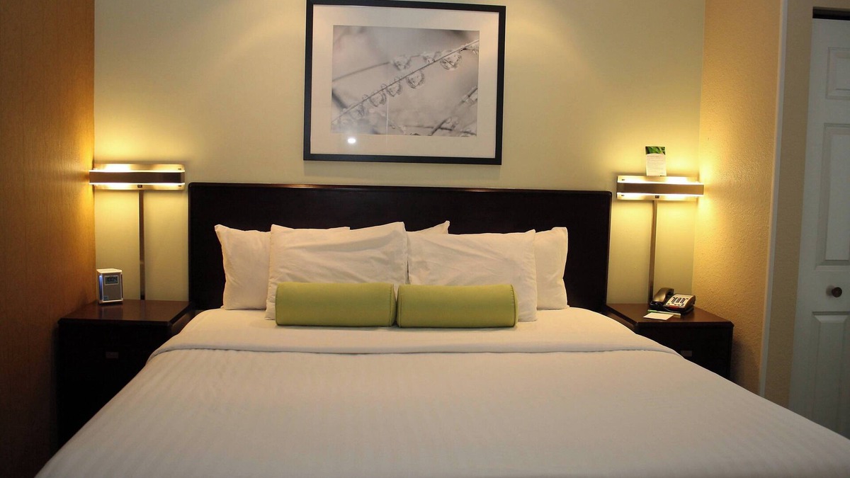 Dellslow Hotel | Springhill Suites by Marriott Morgantown
