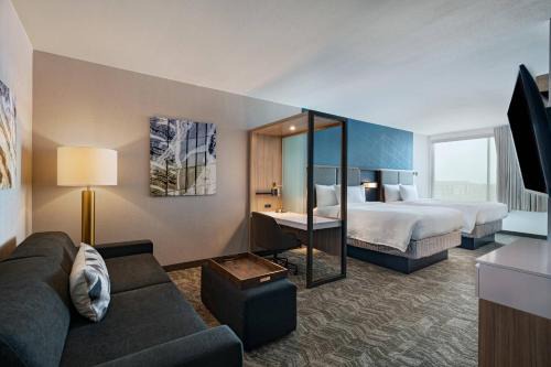 Far North Dallas Hotel | SpringHill Suites by Marriott Dallas Richardson/University Area