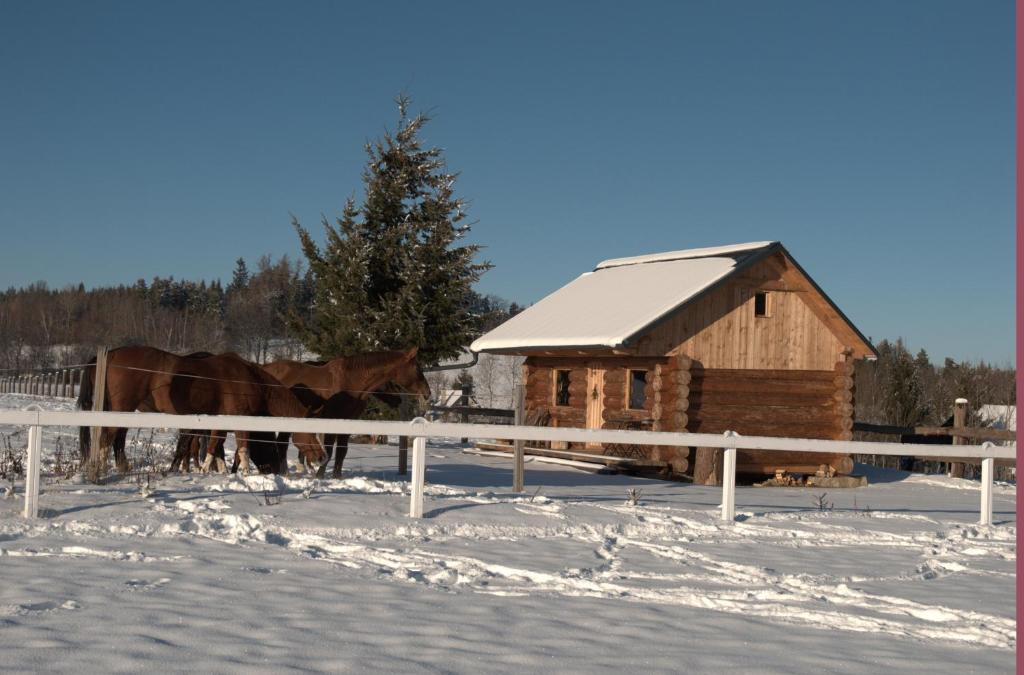 Vimperk Ski Chalet | Srub u koní