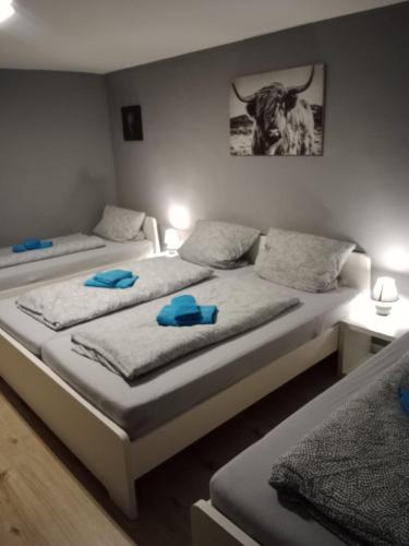 Flensburg Apartment | Stadtnah an der Förde 7504E