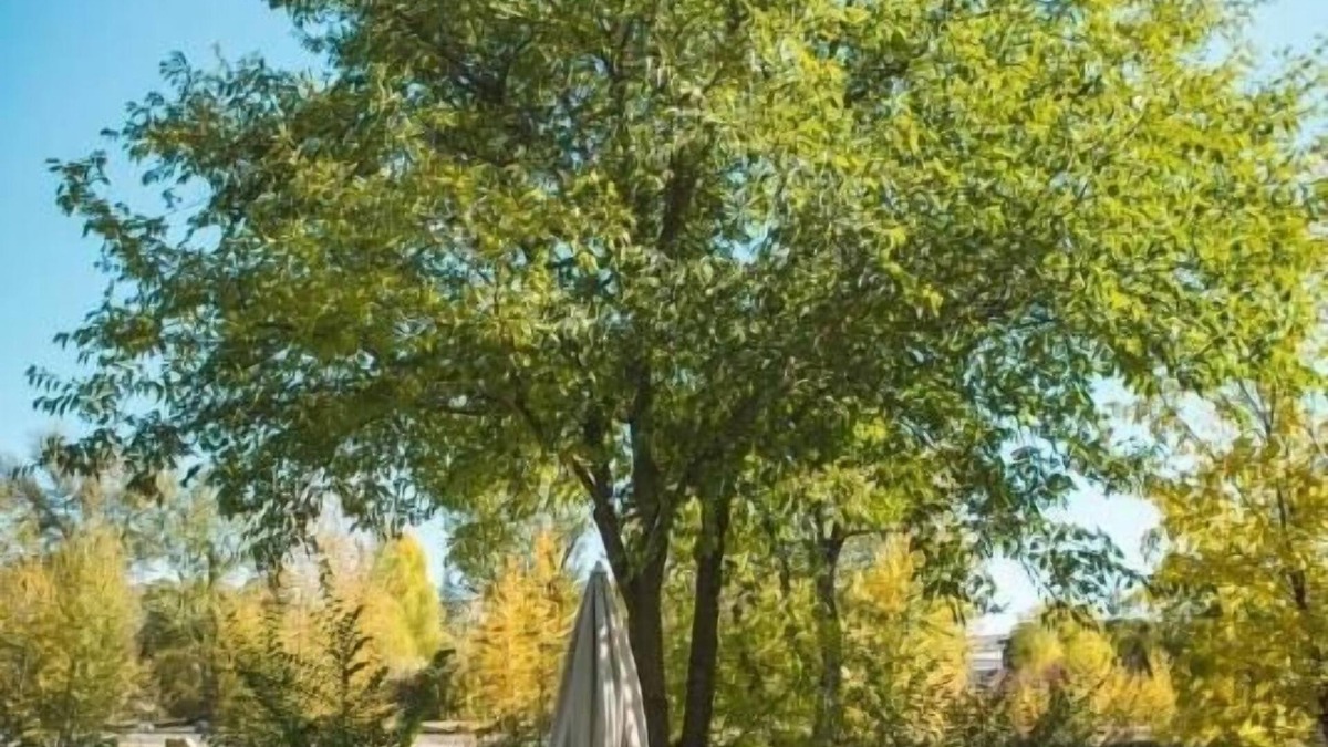 Salmon Hotel | Stagecoach Inn